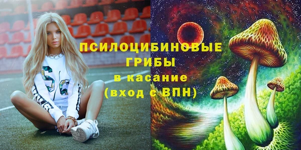 скорость Пестово
