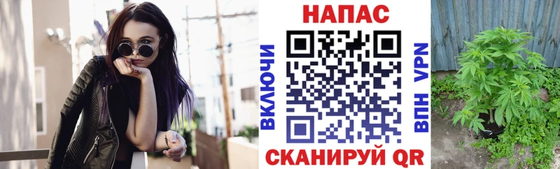 МАРИХУАНА Amnesia Карталы